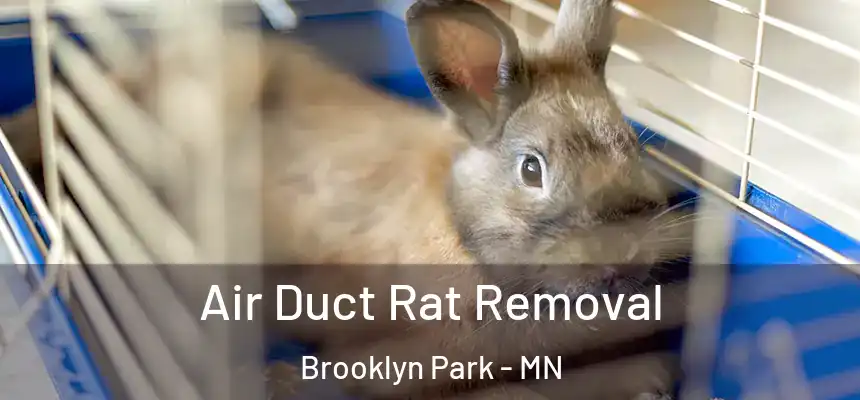  Air Duct Rat Removal Brooklyn Park - MN