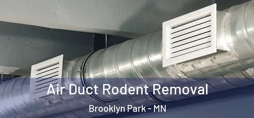  Air Duct Rodent Removal Brooklyn Park - MN