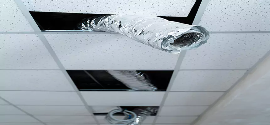 Our Air Duct Pet Hair Removal Services in Brooklyn Park, MN