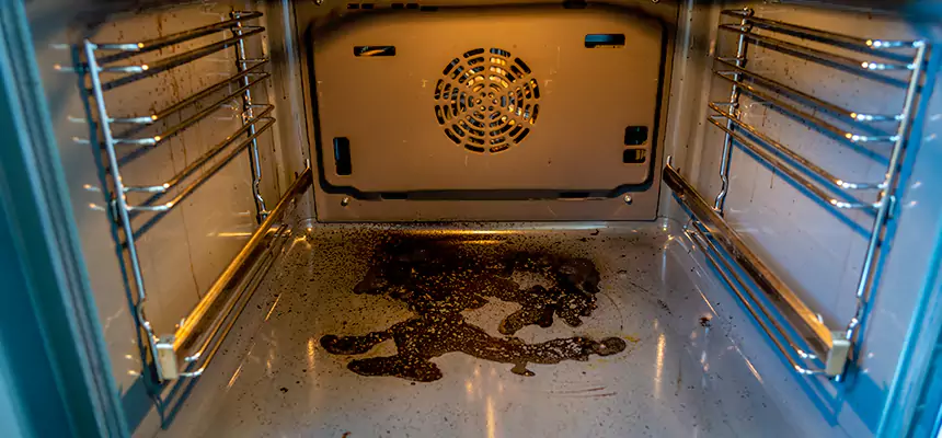 Our Dryer Vent Mold Cleaning Services in Brooklyn Park, MN