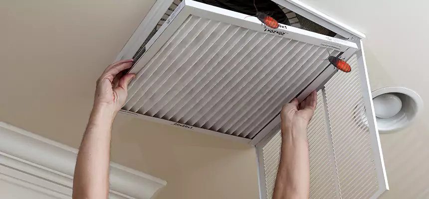 Our Insect Removal from Air Ducts Services in Brooklyn Park, MN