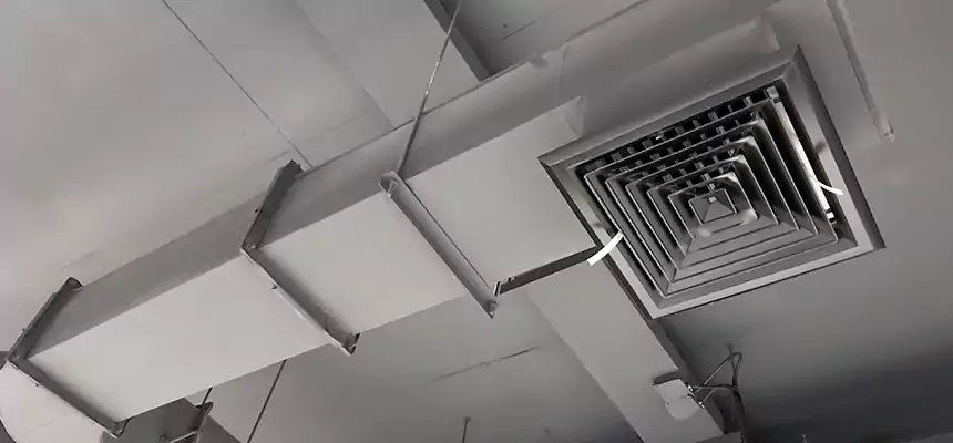 Our Pest Removal From Ducts Services in Brooklyn Park, MN