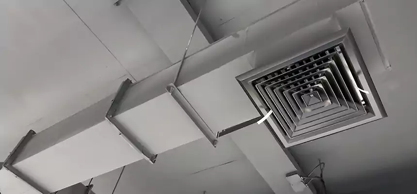 Our Rodent Droppings In Vents Services in Brooklyn Park, MN