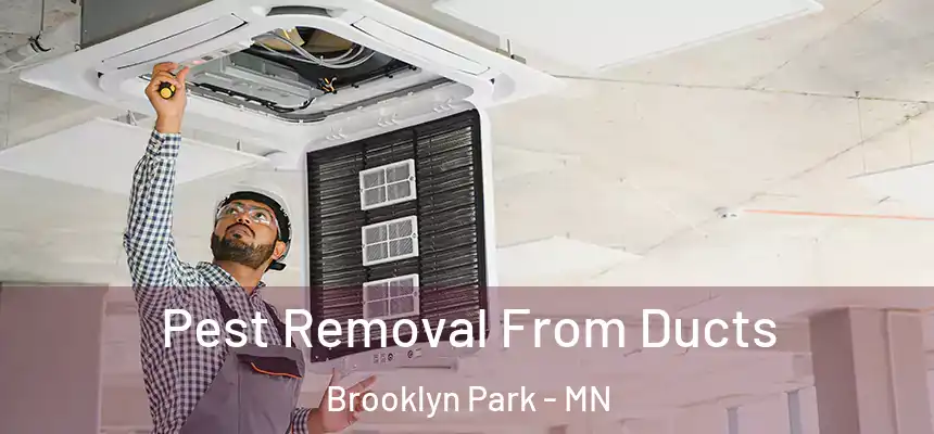  Pest Removal From Ducts Brooklyn Park - MN