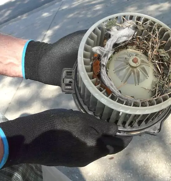 About Air Duct Mice Removal in Brooklyn Park, MN