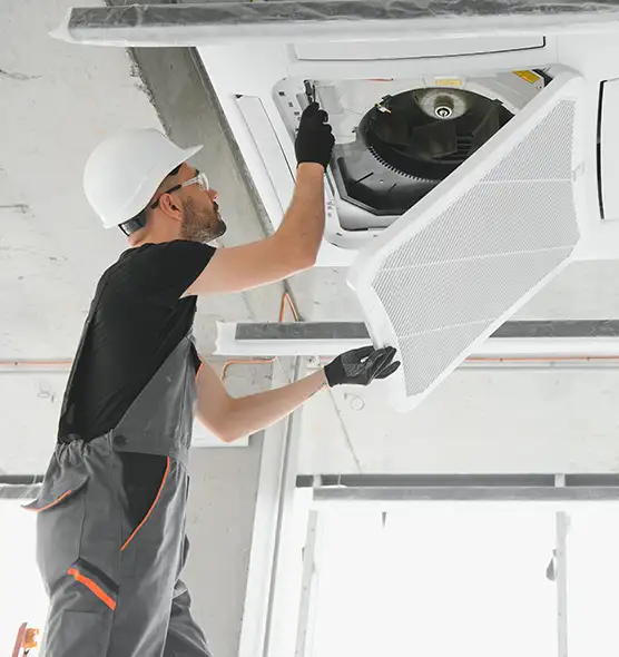 About Air Duct Rodent Removal in Brooklyn Park, MN