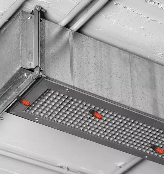 Affordable Insect Removal from Air Ducts in Brooklyn Park, MN