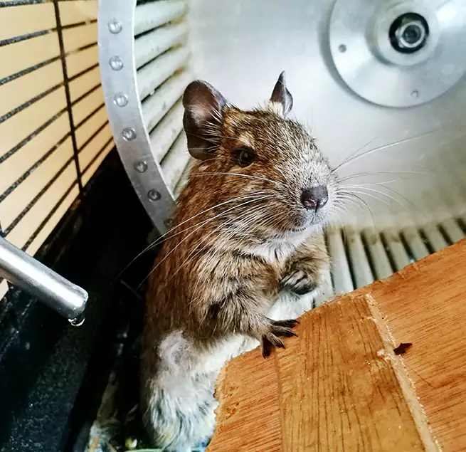 Why Homeowners & Businesses Trust Us Brooklyn Park, MN