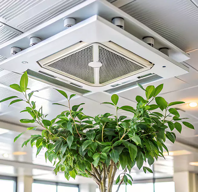 Why Homeowners & Businesses Trust Us in Brooklyn Park, MN